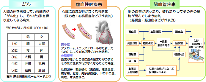 健康に関する説明 イメージ