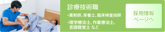 診療技術職（薬剤師、栄養士、理学療法士、作業療法士、言語聴覚士等）